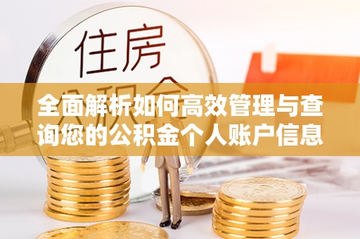 五结全面解析如何高效管理与查询您的公积金个人账户信息