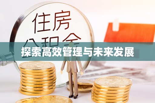 五结探索高效管理与未来发展
