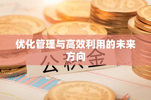 五结优化管理与高效利用的未来方向