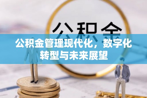 五结公积金管理现代化，数字化转型与未来展望