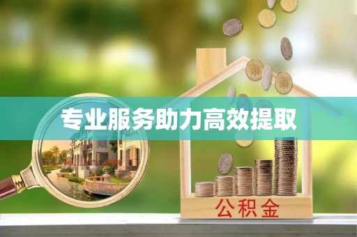五结专业服务助力高效提取