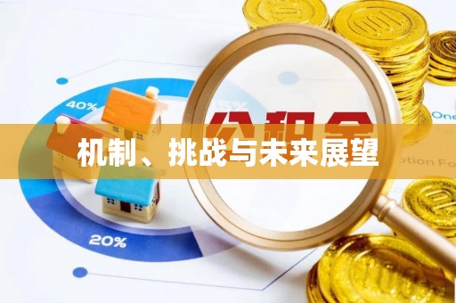五结机制、挑战与未来展望